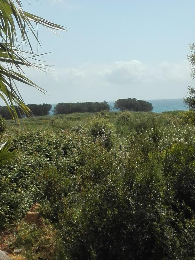 Les Jardins De La Mer Marine De Bravone - 2 Chambres A Lit Plus Sofa Avec Piscine A Cote Mer Linguizzetta Exterior foto