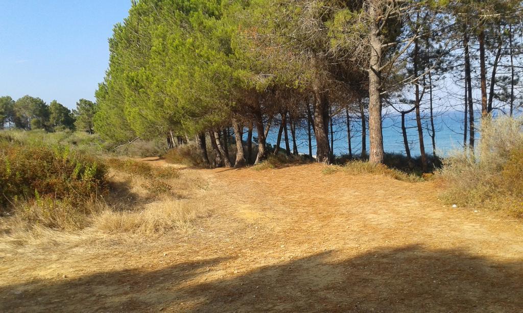 Les Jardins De La Mer Marine De Bravone - 2 Chambres A Lit Plus Sofa Avec Piscine A Cote Mer Linguizzetta Exterior foto