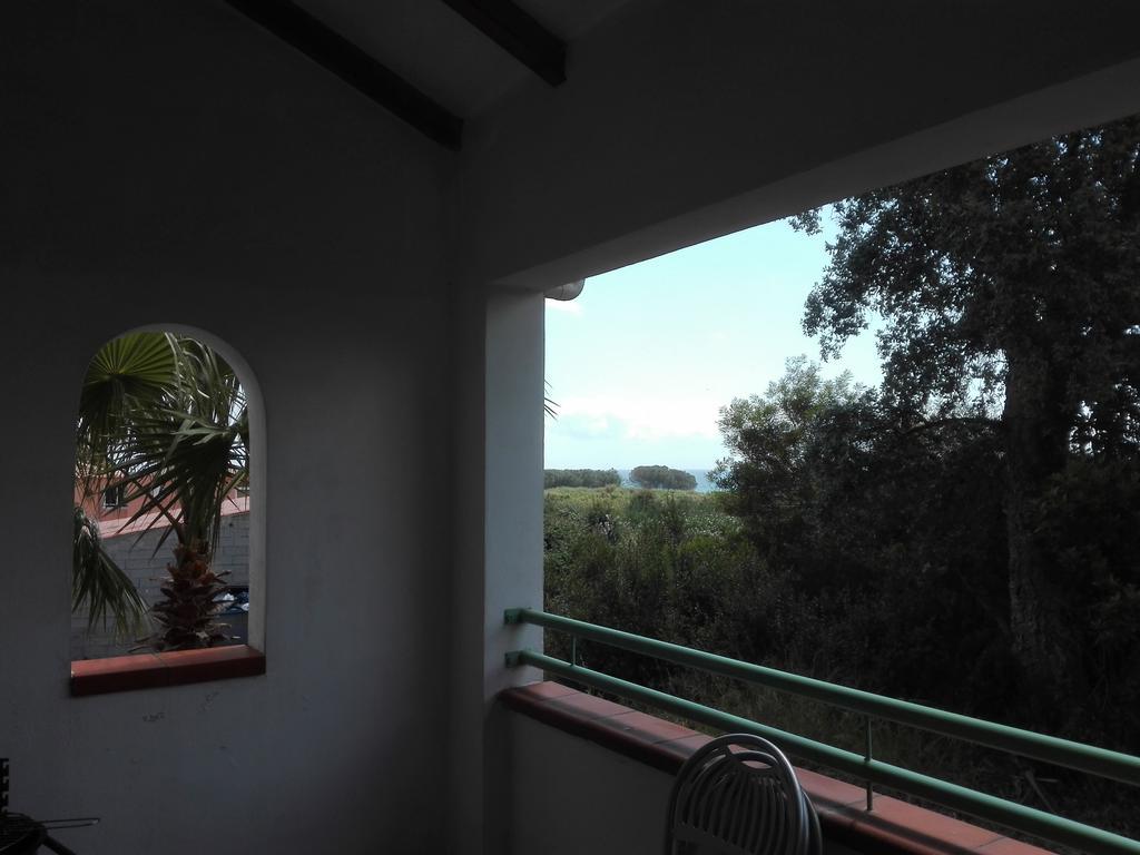 Les Jardins De La Mer Marine De Bravone - 2 Chambres A Lit Plus Sofa Avec Piscine A Cote Mer Linguizzetta Exterior foto